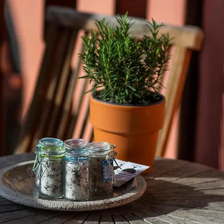 Domacija Pri Damjanu 3* Kozina