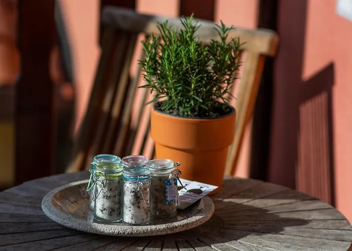 Domacija Pri Damjanu 3* Kozina